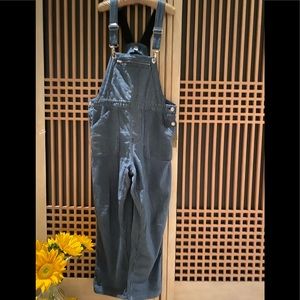 BDG Brand Pinstripe Denim Overalls